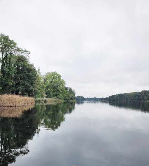 Ruhiger See mit spiegelndem Wasser, Ufer mit Bäumen und bewölktem Himmel.