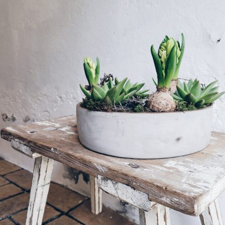 Blumentopf aus grauem Beton mit Blumen auf einem rustikalen Holztisch.